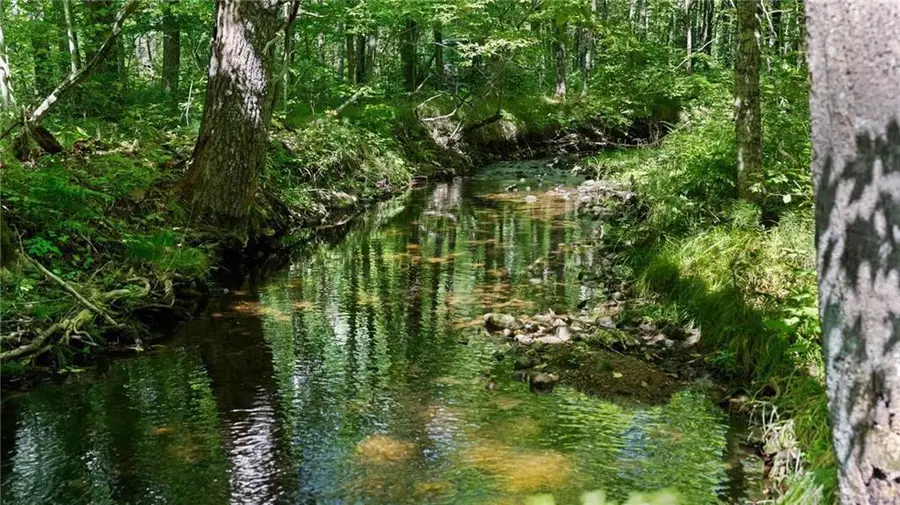 Block 7 Comet Road, Exeland, WI 54835 - Image #3