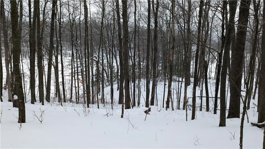 Lot 2 Crystal Point Drive, Birchwood, WI 54817 - Image #3