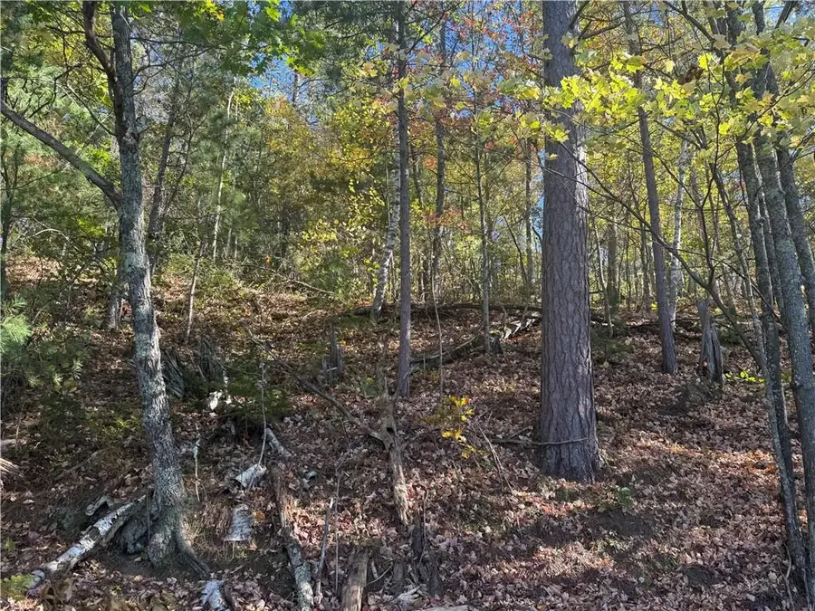 Lot 22 & 23 E Long Lake, Iron River, WI 54847 - #2