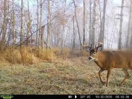 xxx Old 14 Road, Weyerhaeuser, WI 54895 - #2