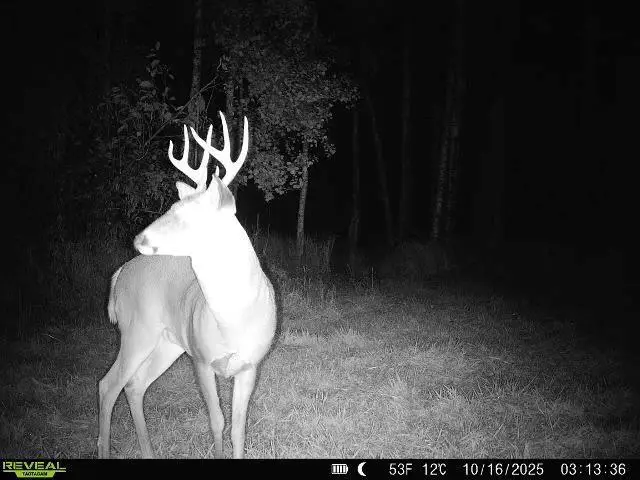 xxx Old 14 Road, Weyerhaeuser, WI 54895 - #3