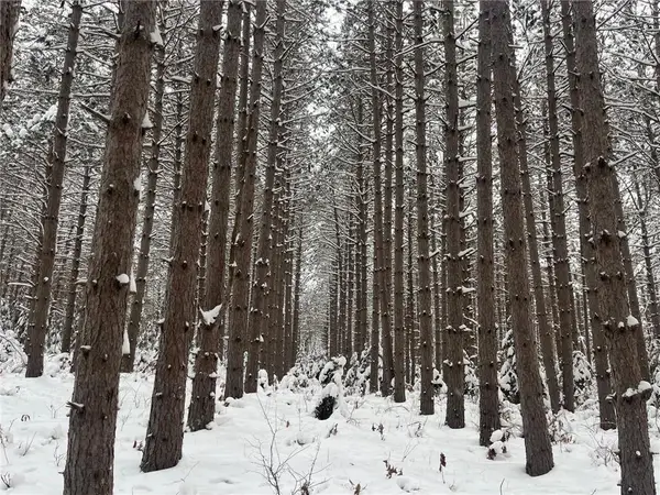 29931 Minerva Road, Danbury, WI 54830