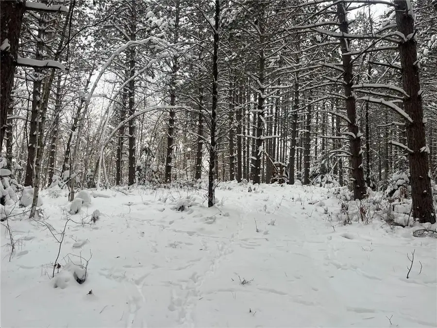 29931 Minerva Road, Danbury, WI 54830 - Image #3