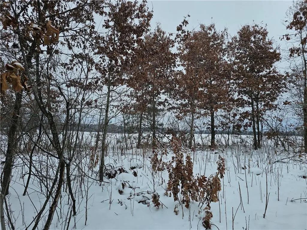 0 County Highway E Lot 1, Elk Mound, WI 54739 - Image #1