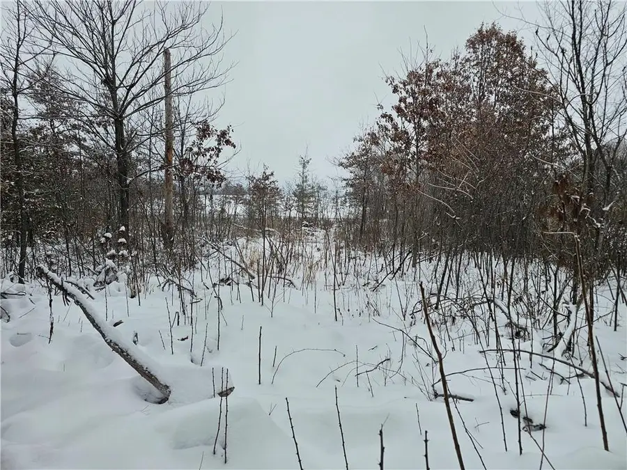 0 County Highway E Lot 1, Elk Mound, WI 54739 - Image #3