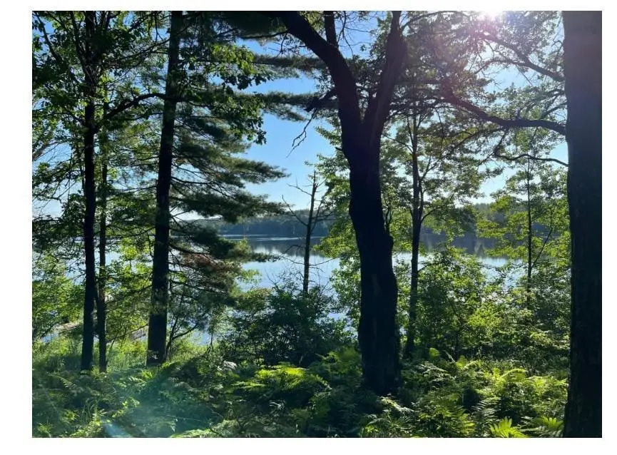 TBD Chicog Lake Estates Road, Chicog, WI 54888 - Image #3