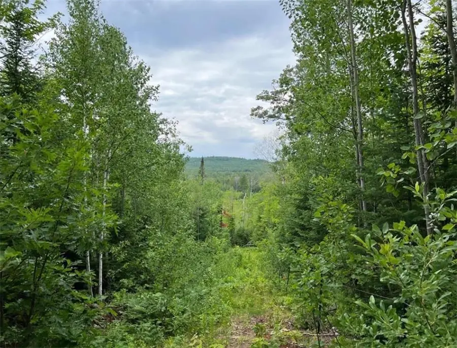 86640 S Pratt Road, Bayfield, WI 54814 - Image #3