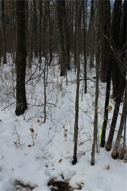 000 Badger Avenue, Granton, WI 54436 - Image #3