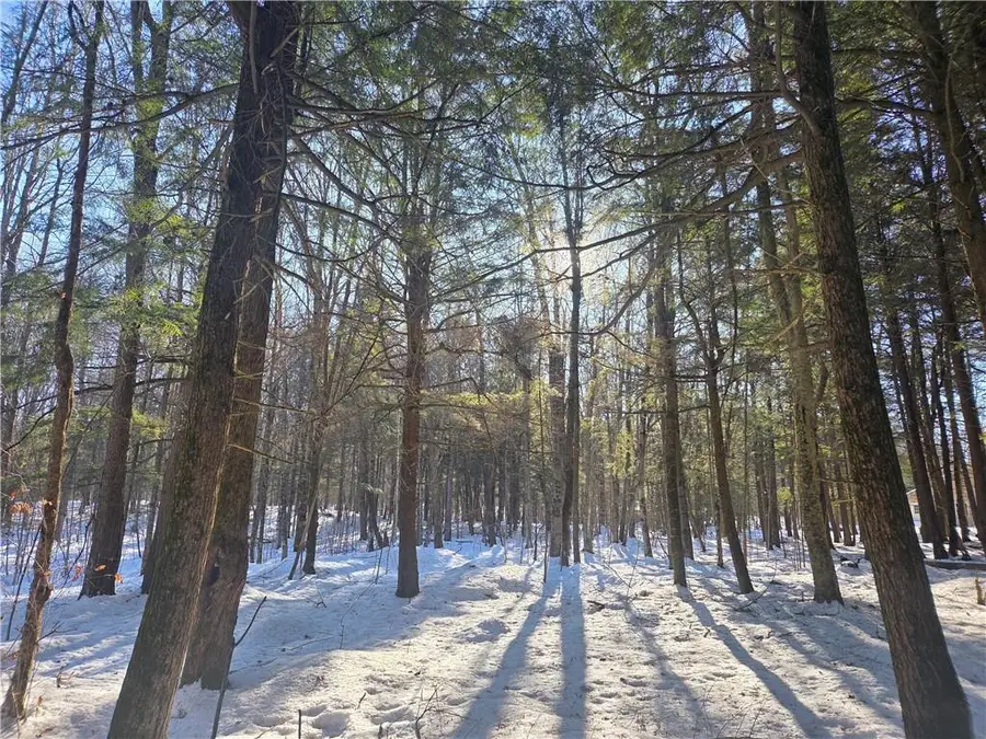 15089 367th Street, Stanley, WI 54768 - Image #3