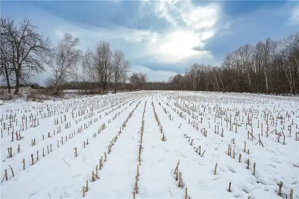 0000 290th St, Cadott, WI 54727