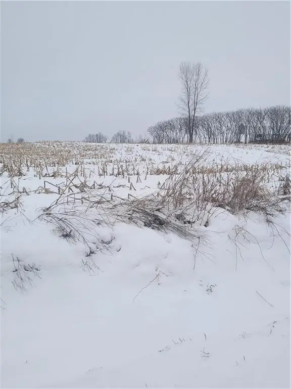000 County Hwy B Lot 3, Neillsville, WI 54456 - #1