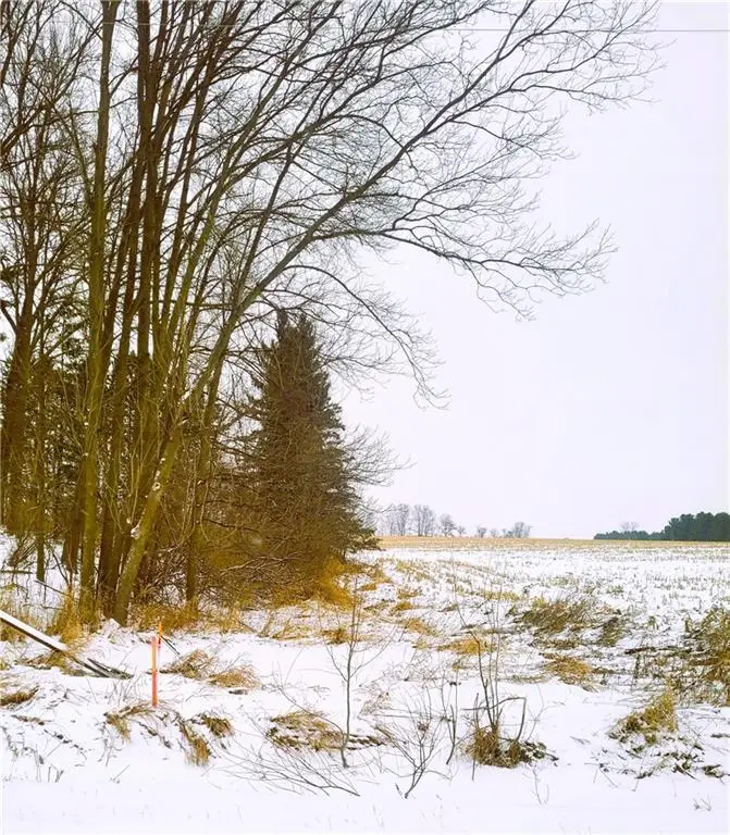 0000 County Hwy B Lot 4, Neillsville, WI 54456 - #1