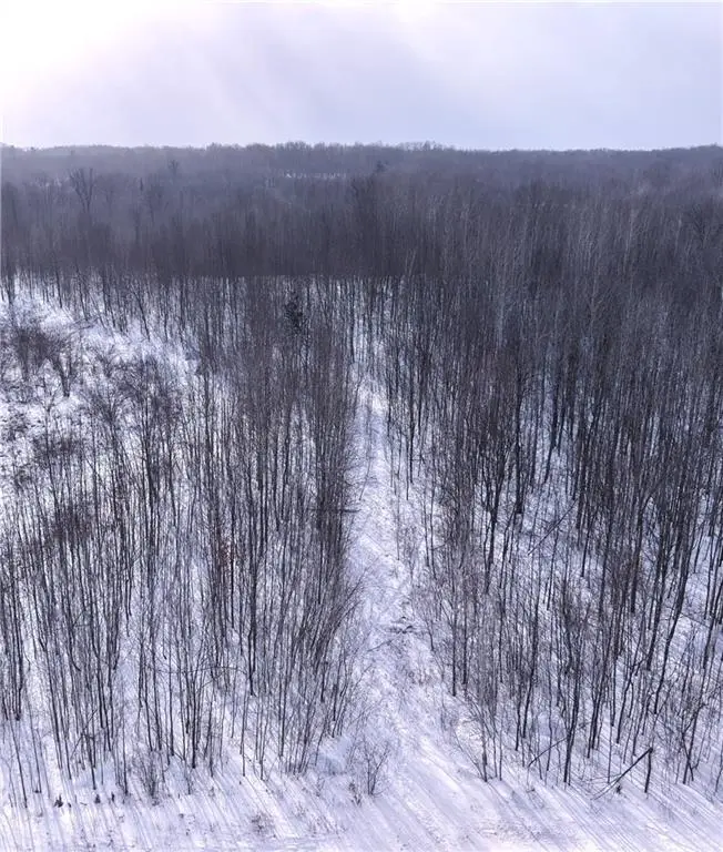 00 155th Ave, Boyd, WI 54726 - #1