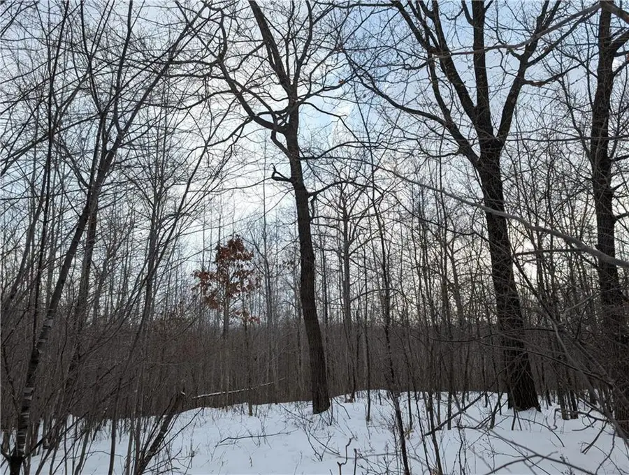 00 155th Ave, Boyd, WI 54726 - #3