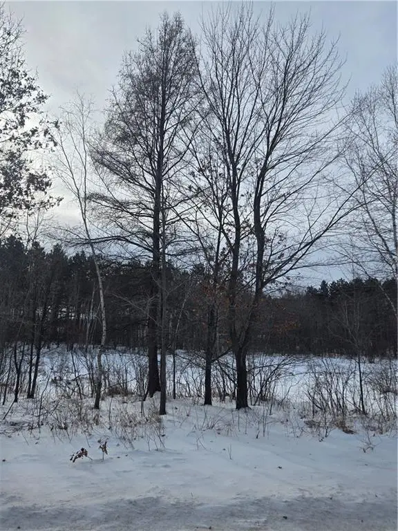 000 County Hwy G, Ruby, WI 54748 - Image #2