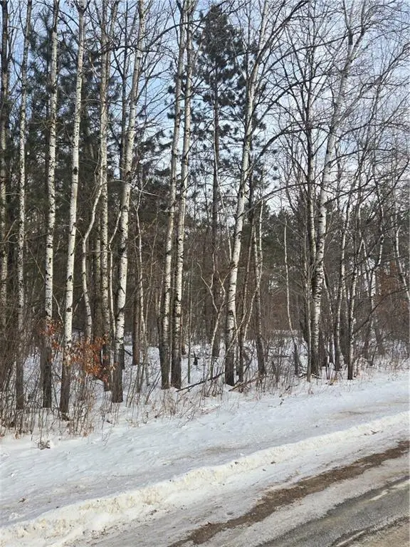 000 County Hwy G, Ruby, WI 54748 - Image #3