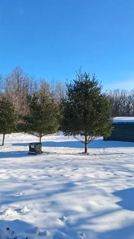 S825 Tower Road, Boyd, WI 54726 - #2