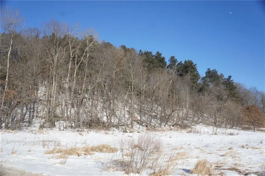 00 Town Hall Road, Alma Center, WI 54611 - #3