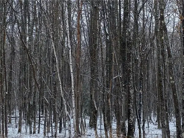 Near Seven Mile Road, Herbster, WI 54844