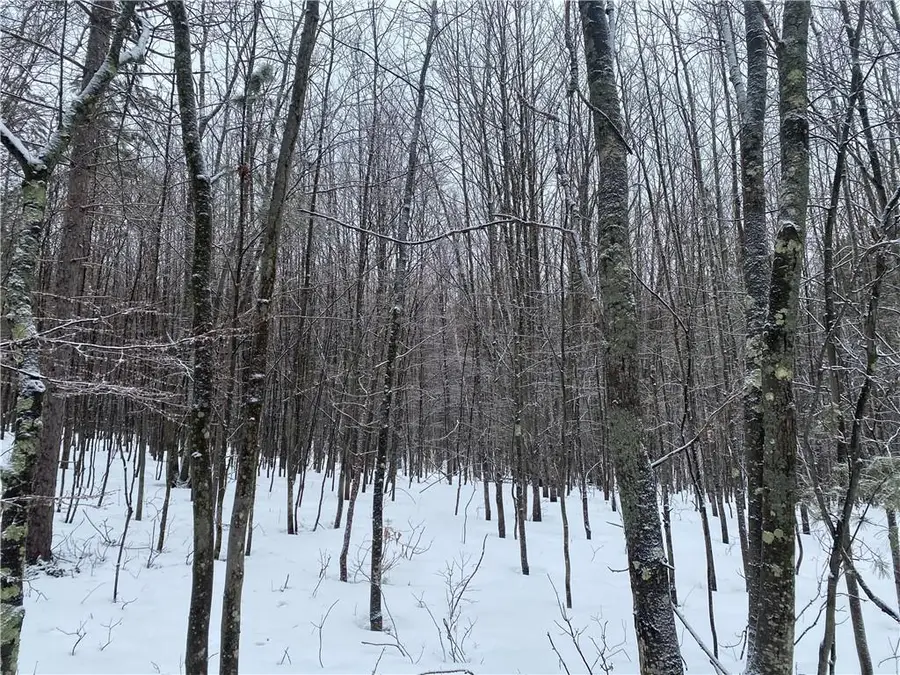 Near Seven Mile Road, Herbster, WI 54844 - #2