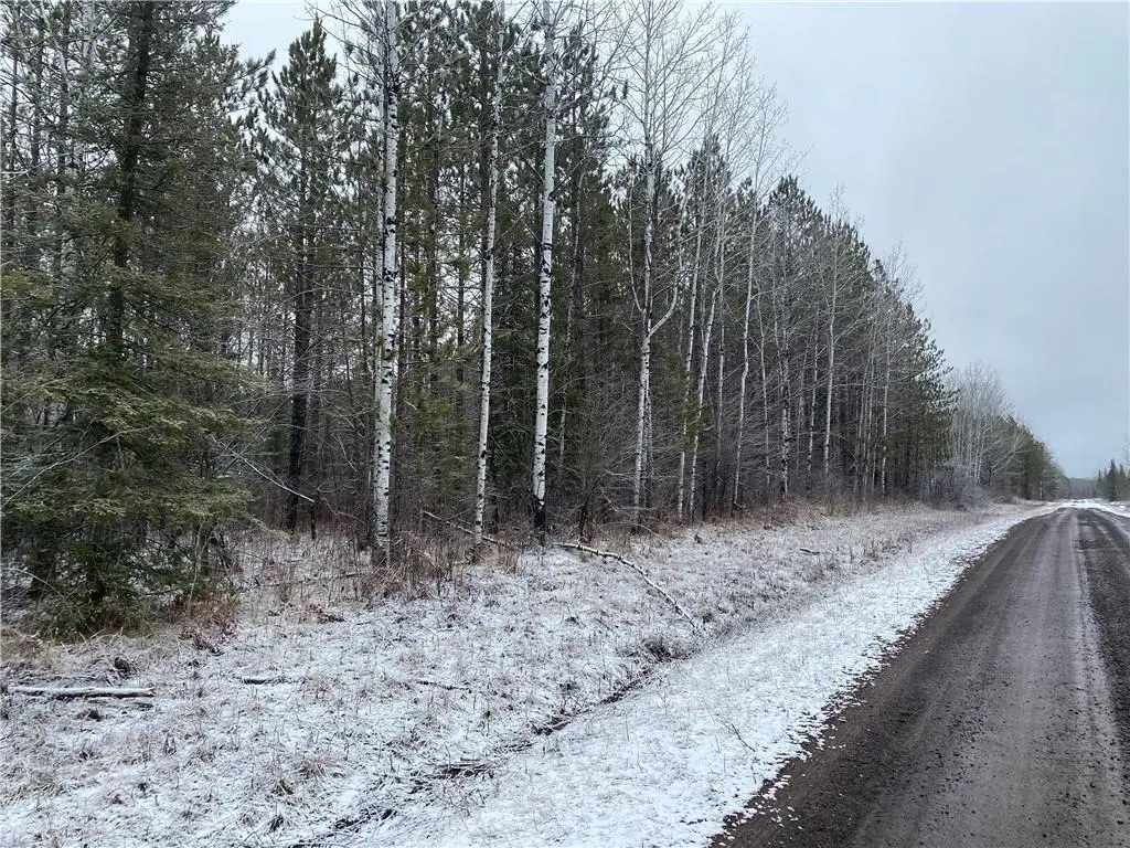 On Sorenson Road, Port Wing, WI 54865 - #1