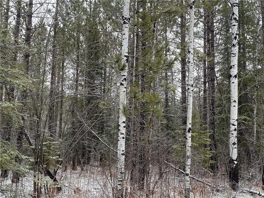 On Sorenson Road, Port Wing, WI 54865 - #2