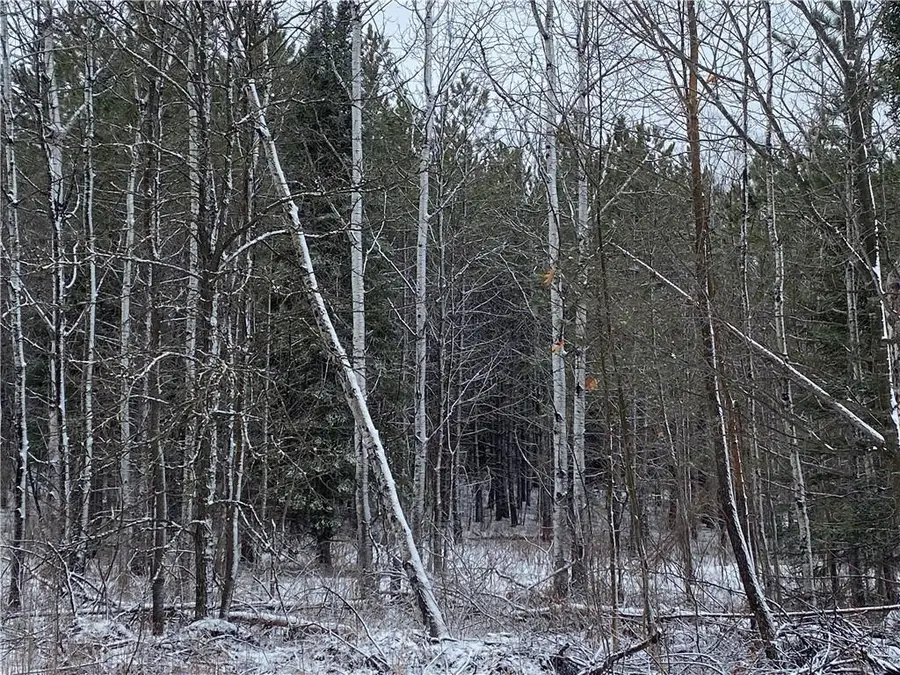 On Sorenson Road, Port Wing, WI 54865 - #2