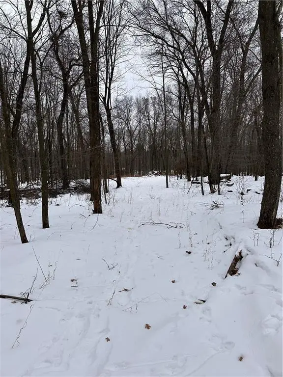 17085 E County Road D, Fall Creek, WI 54742 - Image #2