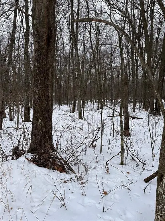 17085 E County Road D, Fall Creek, WI 54742 - Image #3