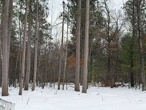 25106 Shady Oaks Lane, Siren, WI 54872 - #3