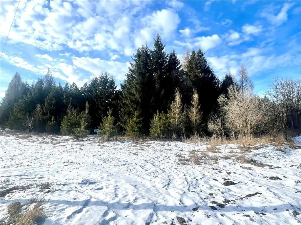 46.67 acres 630th Street, Colfax, WI 54730 - #1