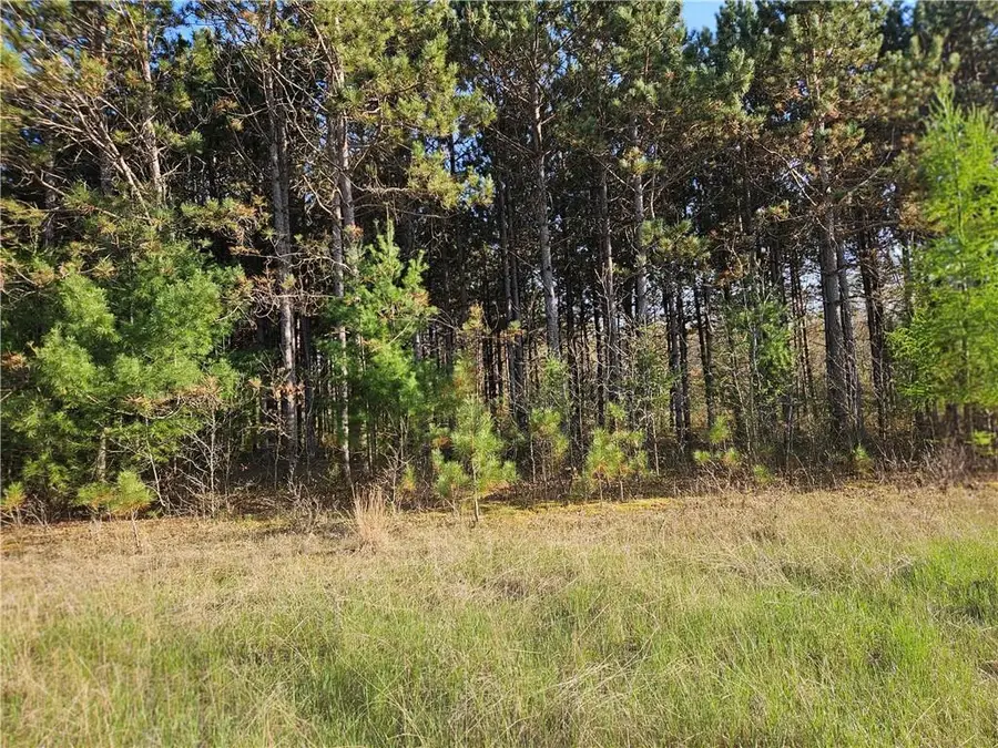 46.67 acres 630th Street, Colfax, WI 54730 - #3