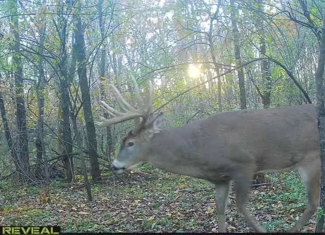 XXX State Rd 93, Arcadia, WI 54612 - #2