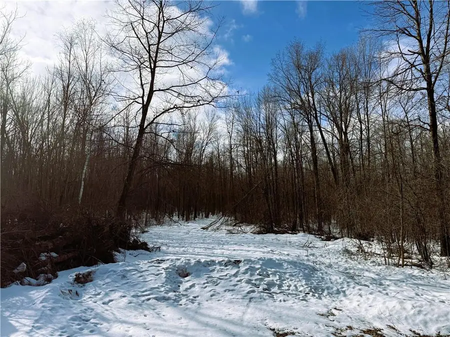 96+ Acres on White Birch Ridge Road, Ladysmith, WI 54848 - #2