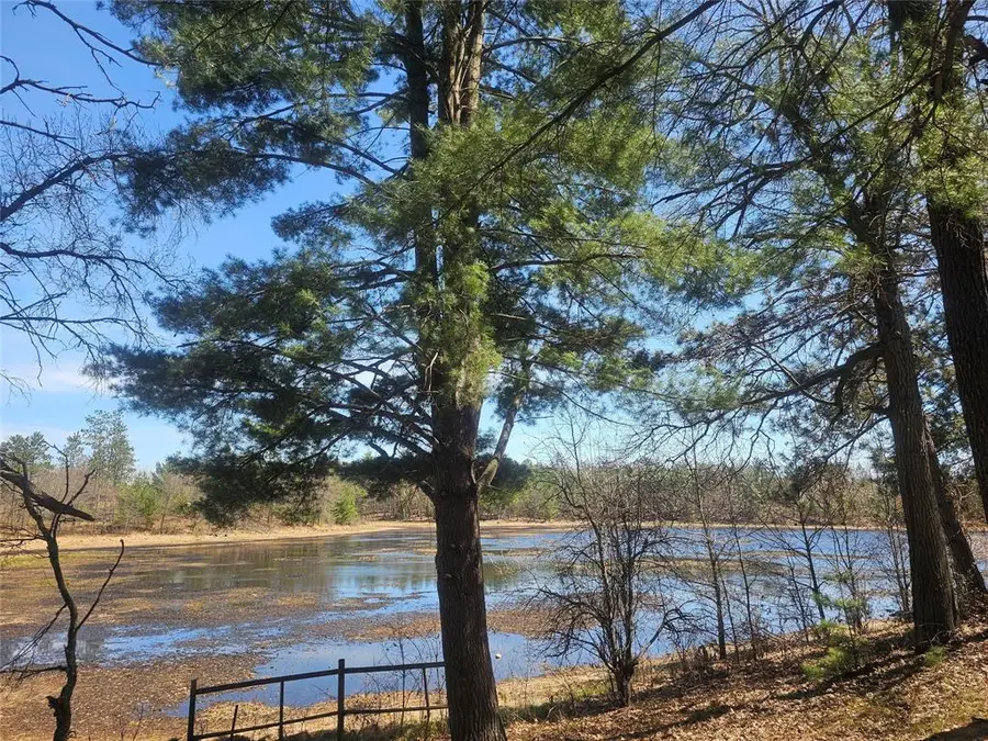 30284 Nicaboyne Lake Road, Danbury, WI 54830 - #3