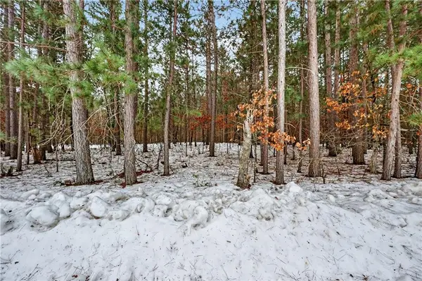 Lot 5 Bald Eagle Drive, Trego, WI 54888