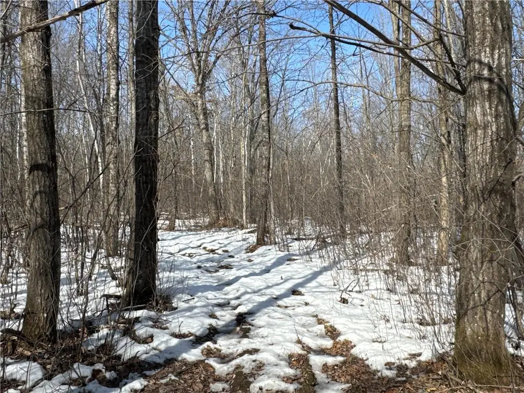 27XX 11th Avenue, Chetek, WI 54728 - #1