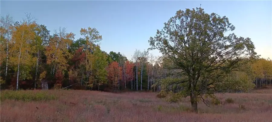 11116 Blackberry Road, Trego, WI 54888 - #2