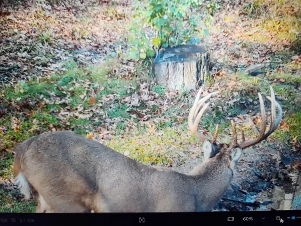 890 S Independence Road, Independence, WI 54747