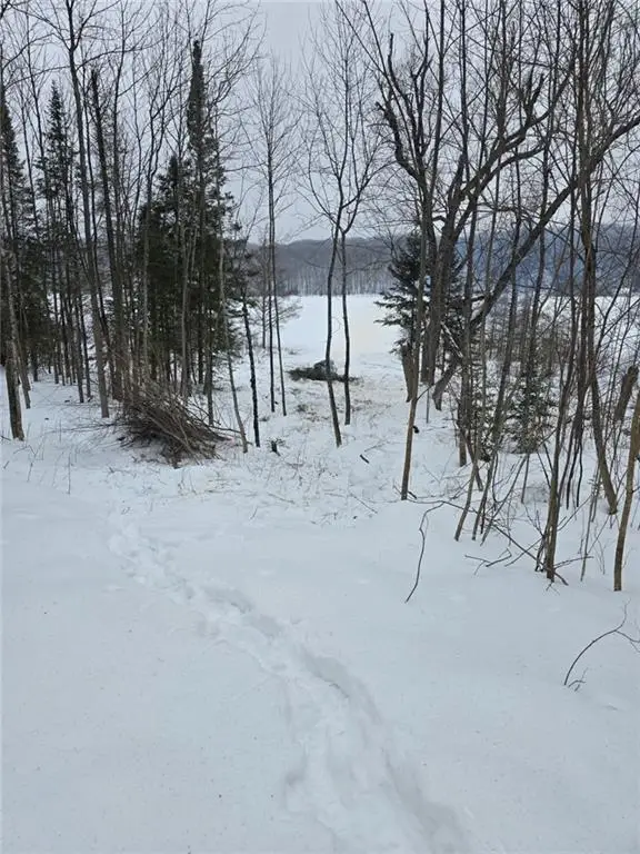 Lake Lot 7(3.73 Acres) Deer Lake Road, Exeland, WI 54835 - #3