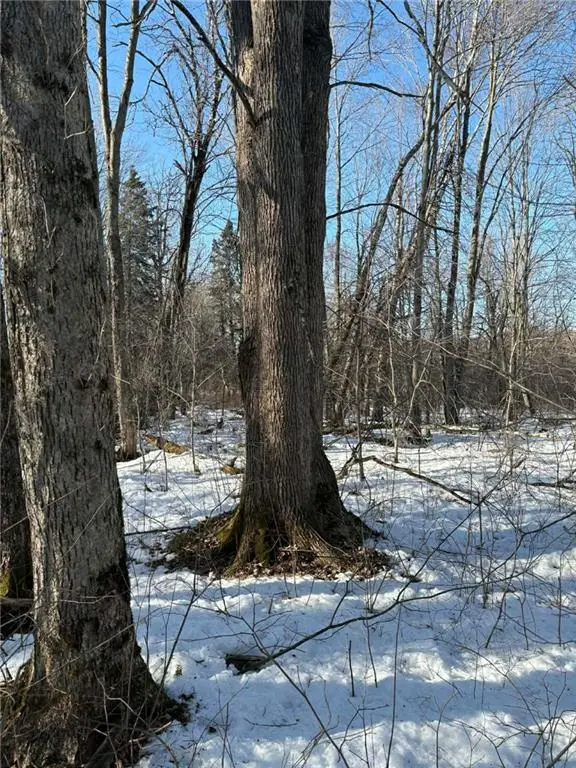 0000 Winter Rd, Ladysmith, WI 54848 - #2