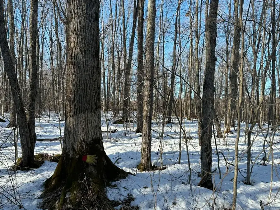 0000 Winter Rd, Ladysmith, WI 54848 - #3