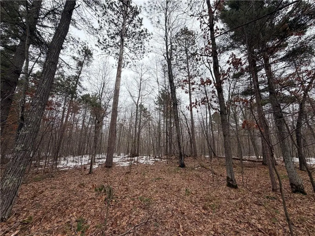 00000 Cty Rd H, Danbury, WI 54830 - #1