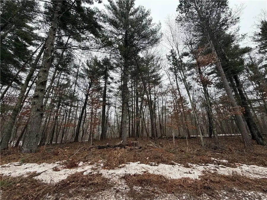 00000 Cty Rd H, Danbury, WI 54830 - #3