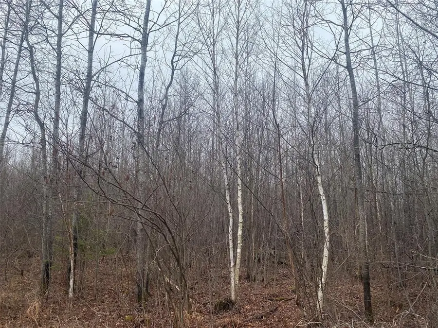 ON Shauger Road, Ogema, WI 54459 - #2