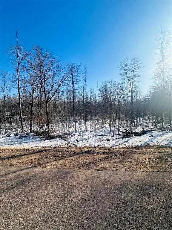 Lot 4 28 1/2 Avenue, Birchwood, WI 54817 - #1