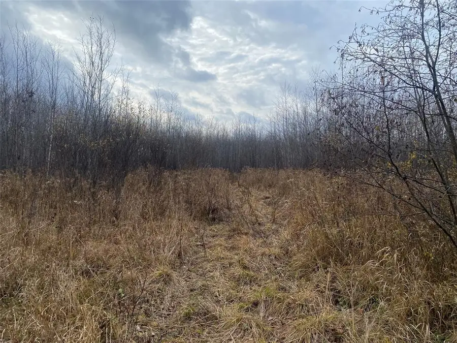 Near Timber Road, Catawba, WI 54515 - #2