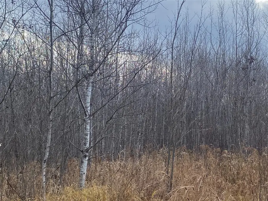 Near Timber Road, Catawba, WI 54515 - #3