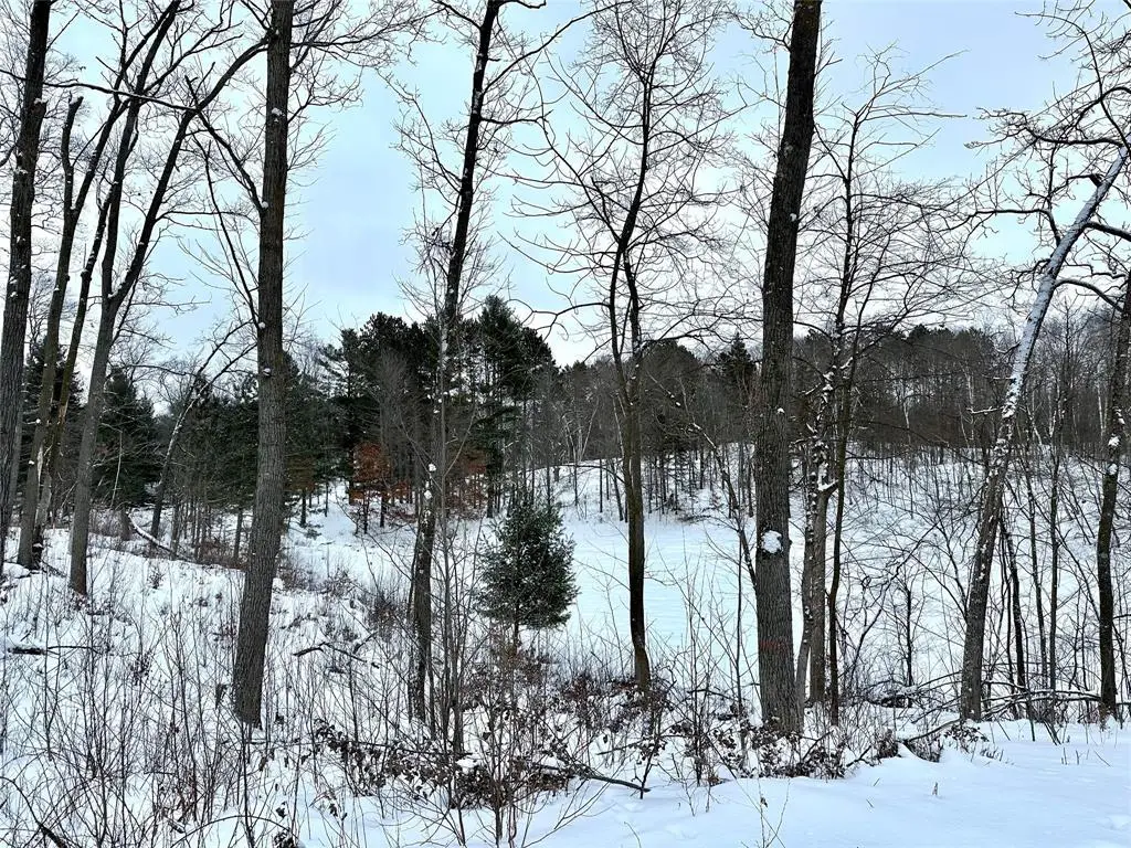 TBD 13.88 Acres Antler Lake Drive, Milltown, WI 54858 - #1
