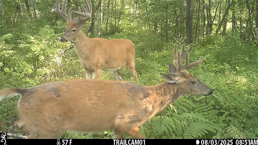 TBD 10 Acres Antler Lake Drive, Milltown, WI 54858 - #2